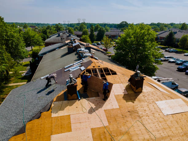 Best Flat Roof Repair Services  in Mayville, MI