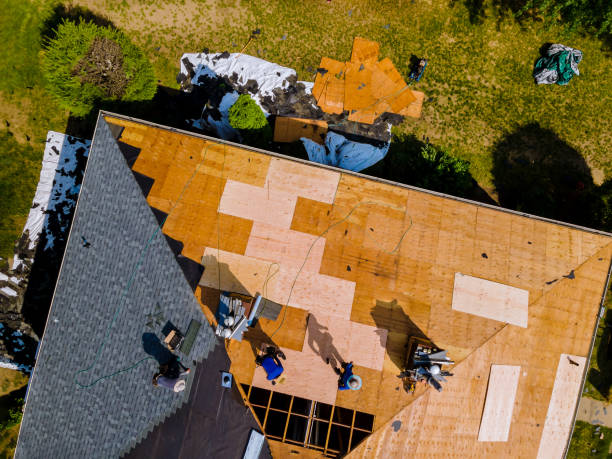Best Shingle Roofing Installation  in Mayville, MI