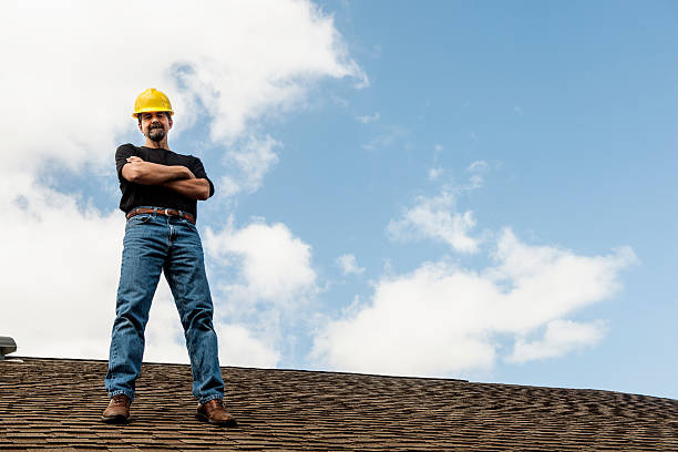 Best Local Roofing Companies  in Mayville, MI