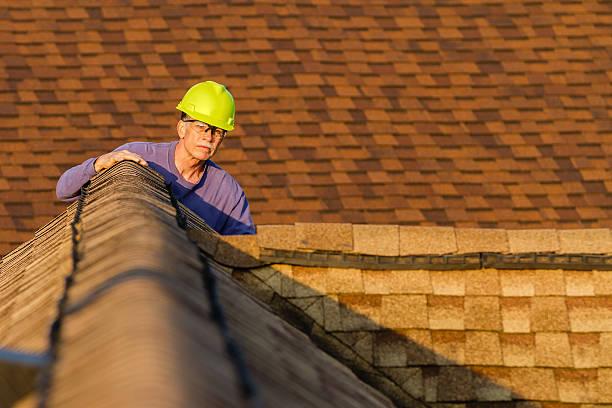 Best Best Roofing Contractors  in Mayville, MI