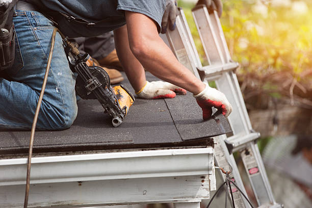 Best Residential Roofing Contractor  in Mayville, MI