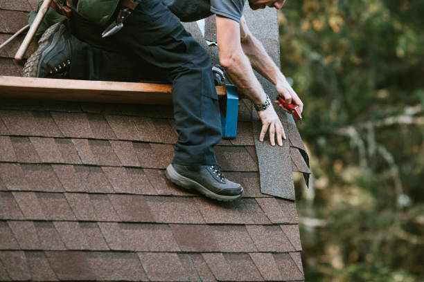 Best Roof Maintenance Services  in Mayville, MI
